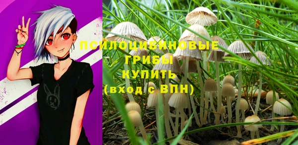 марихуана Абаза