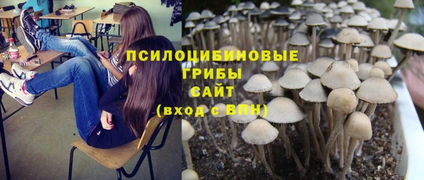 марихуана Абаза