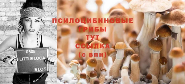 амф Абдулино
