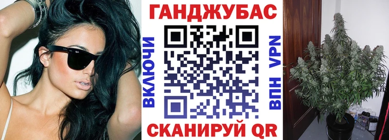 Бошки марихуана сатива  Новотитаровская 
